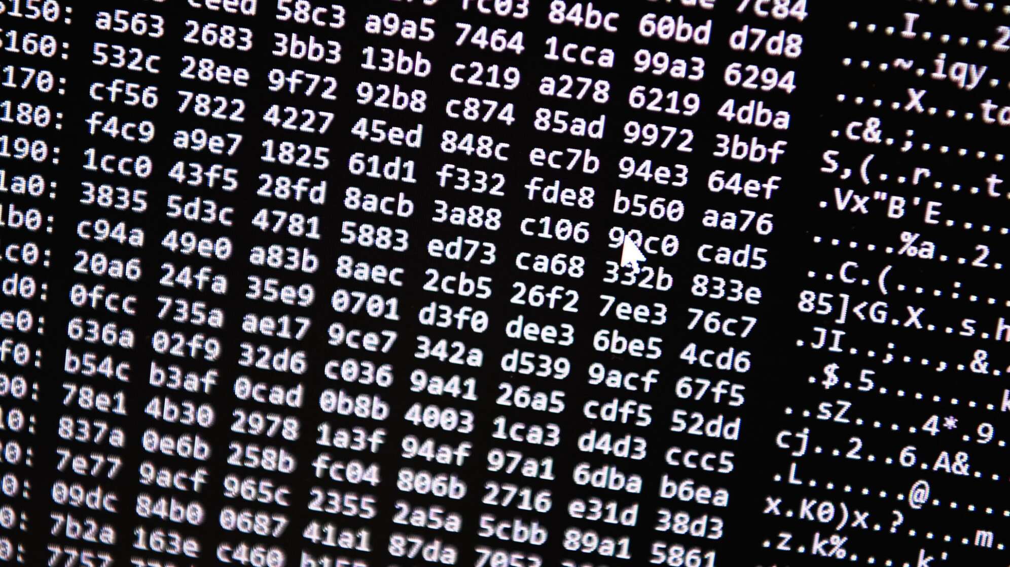 Cyber-Gefahren