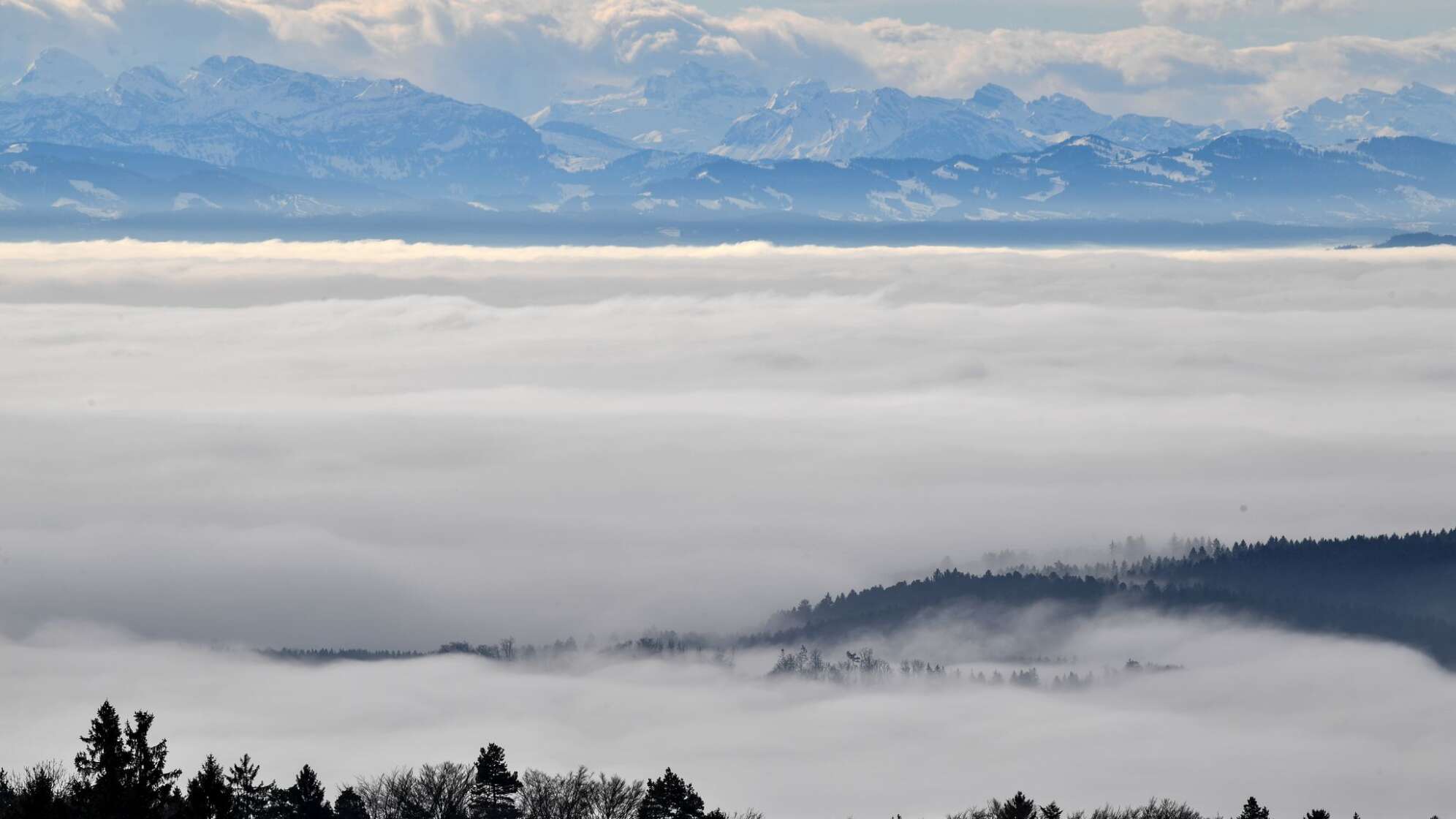 Nebel am Bodensee