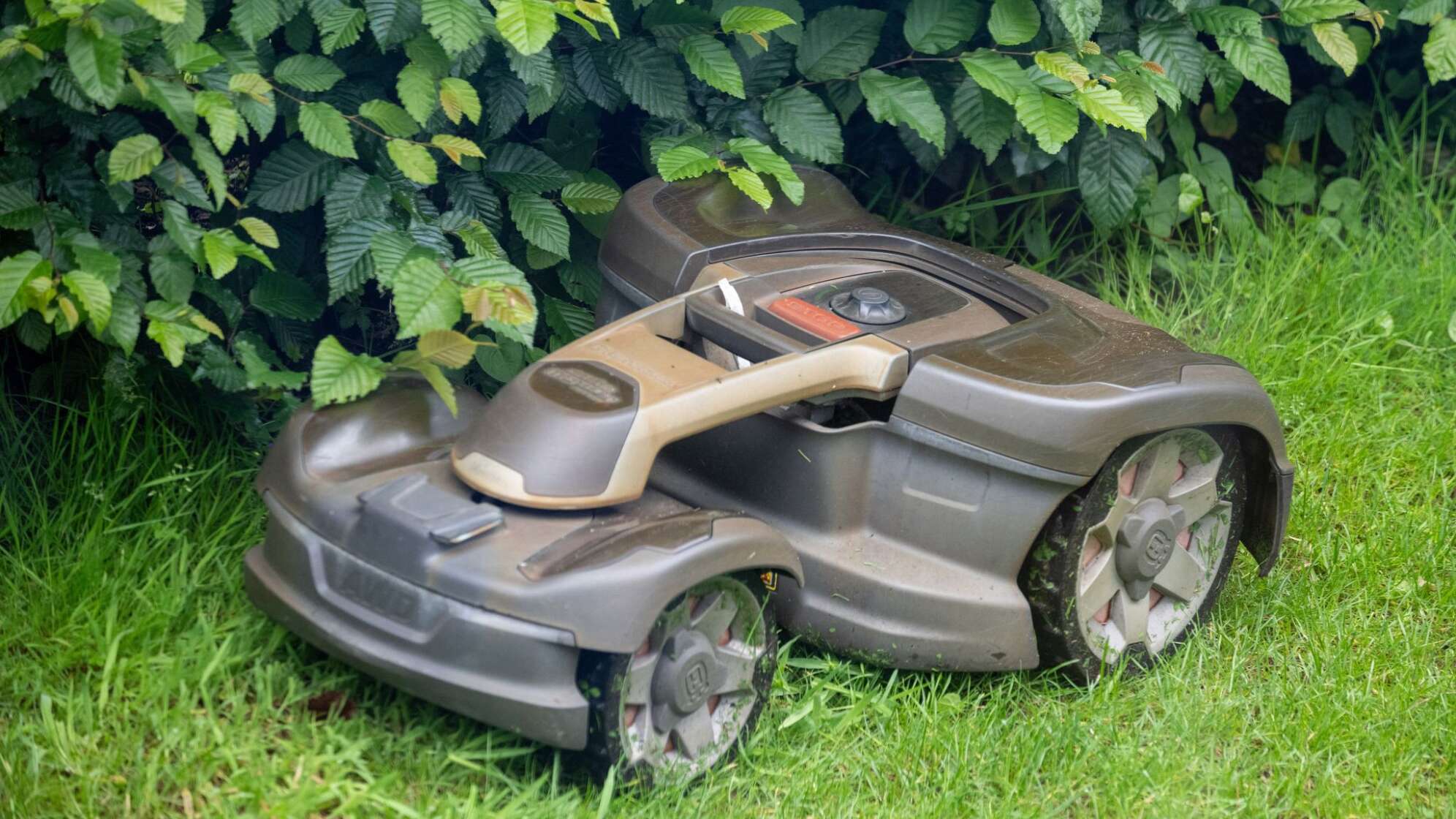 Mähroboter bei der Arbeit