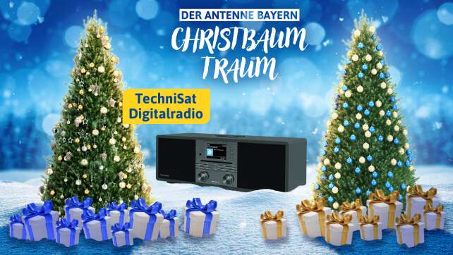 Christbaum-Traum: DAB-Radio TechniSat Digit Radio
