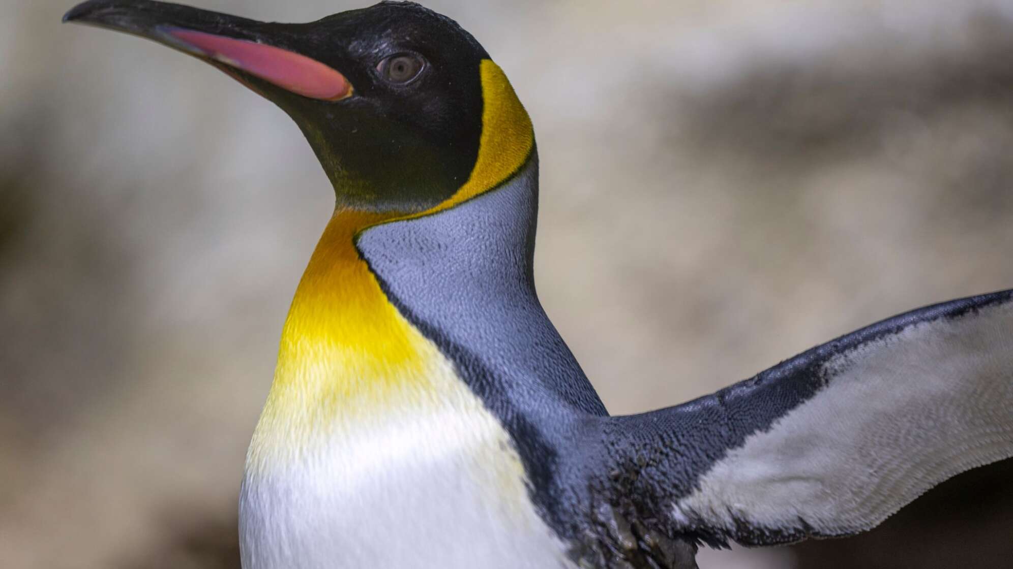 Tierpark Hellabrunn