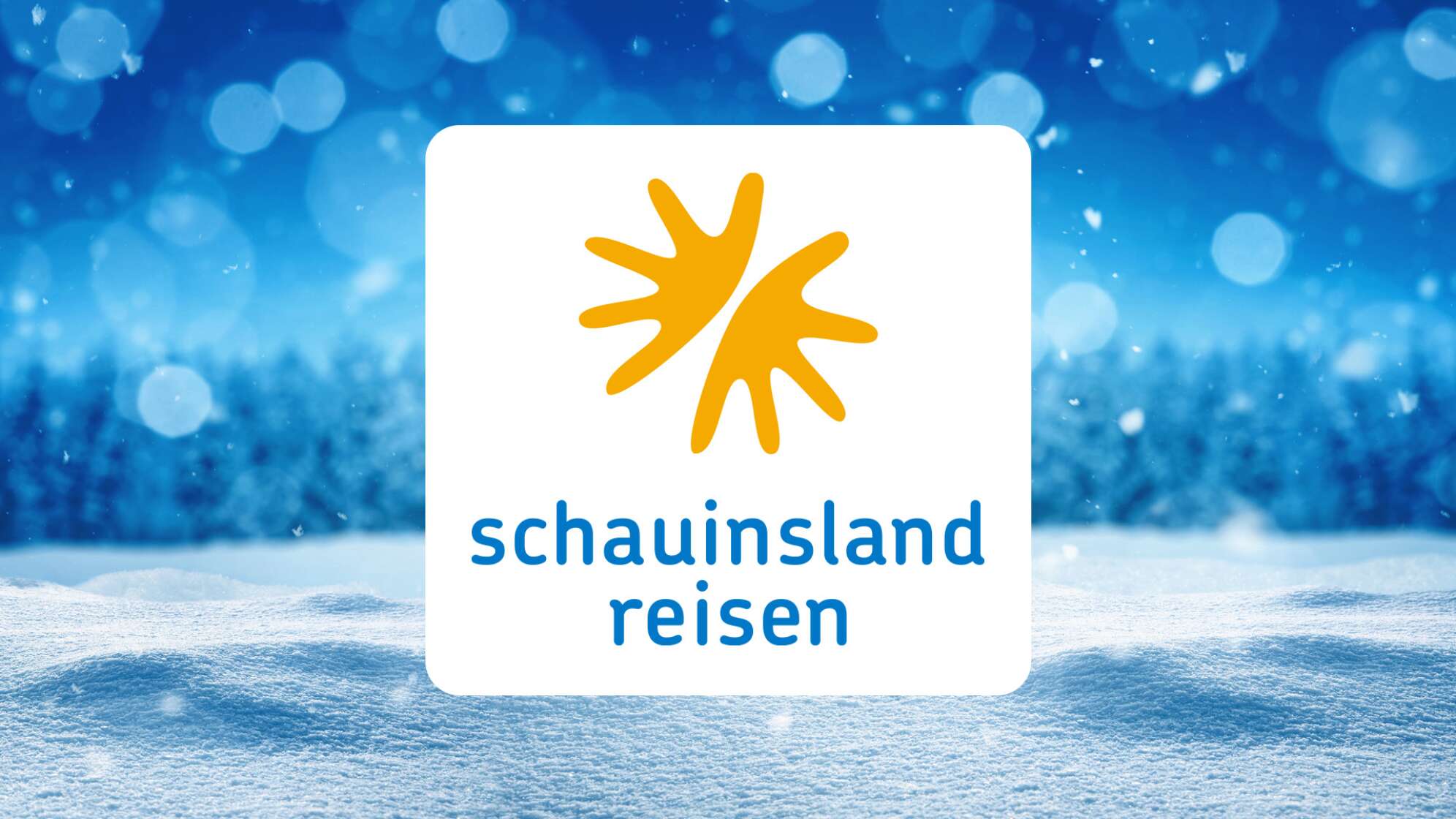 Der ANTENNE BAYERN Christbaum-Traum