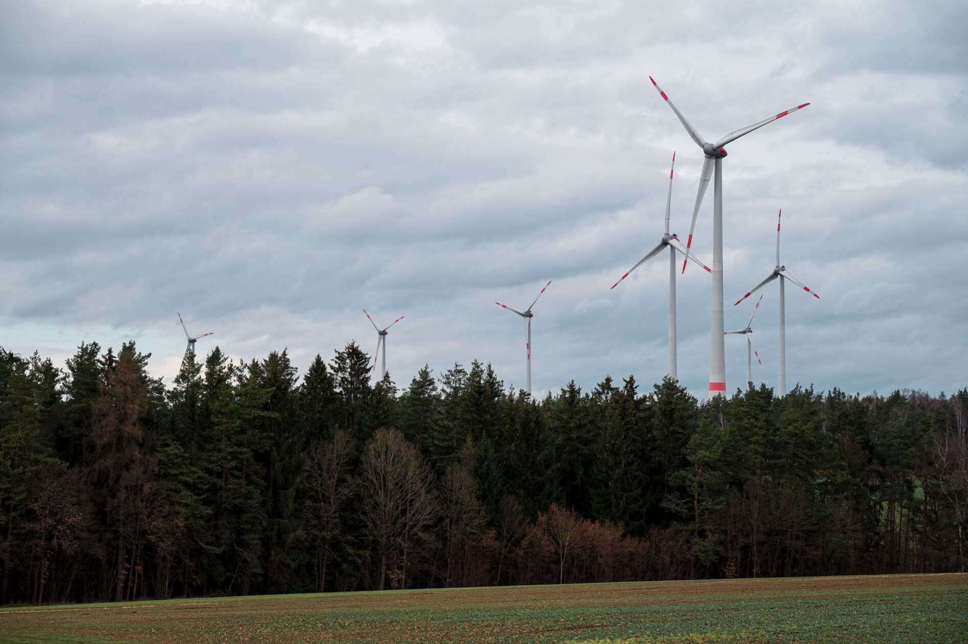 Staatsforsten planen neue Windparks