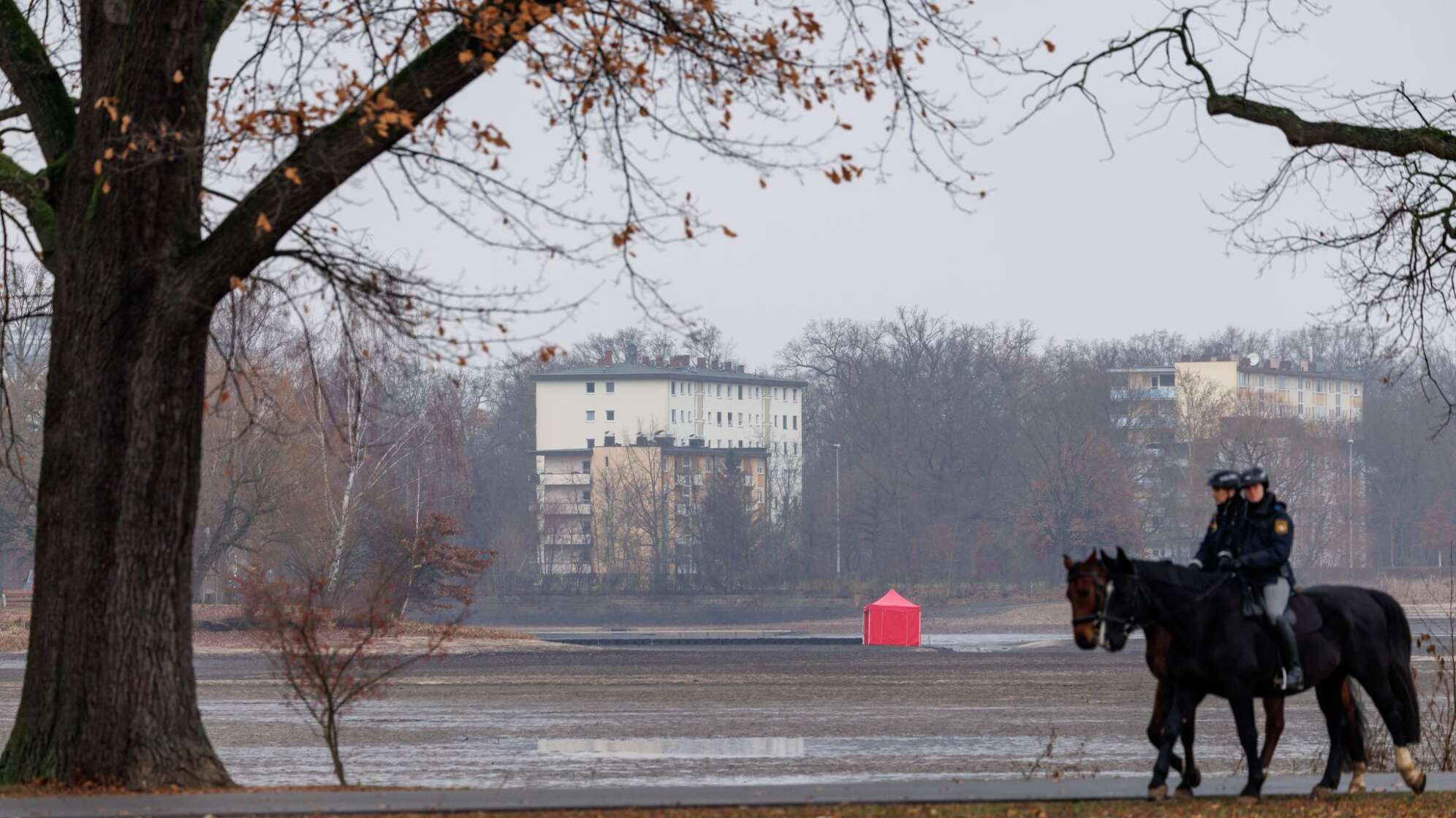 Fliegerbombe im Großen Dutzendteich gefunden