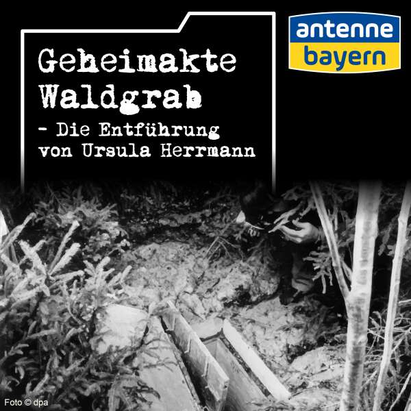 Geheimakte: Das Waldgrab - Trailer