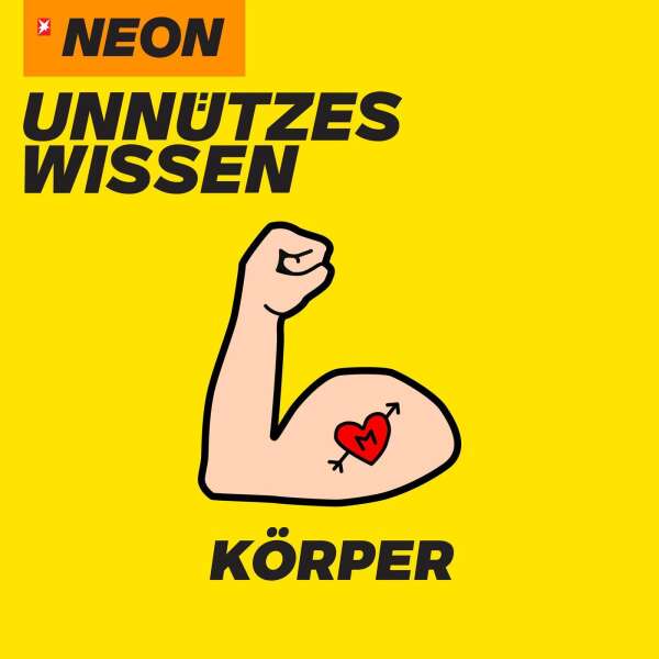 Körper
