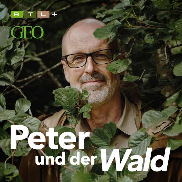 Peter und der Wald