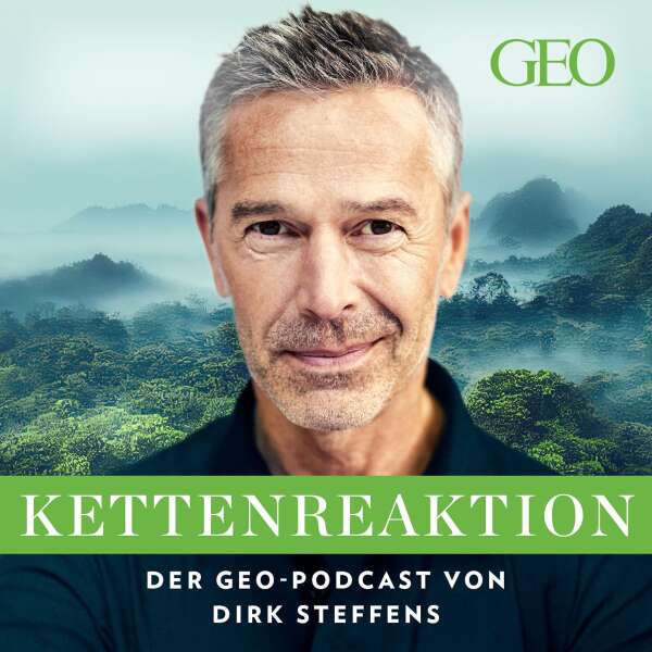 Peter und der Wald