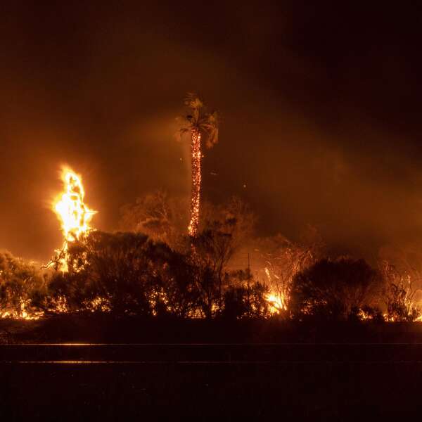 Waldbrände? "Betreten neue Ära des Feuerzeitalters"