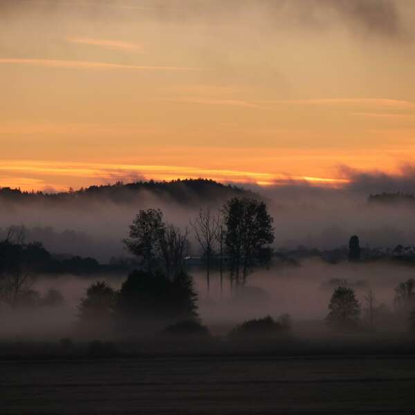 Moore? Unsichtbare Superhelden der Natur