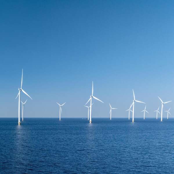 "Der Bau von Offshore-Windparks rechnet sich nicht mehr" - Karina Würtz (Stiftung Offshore)