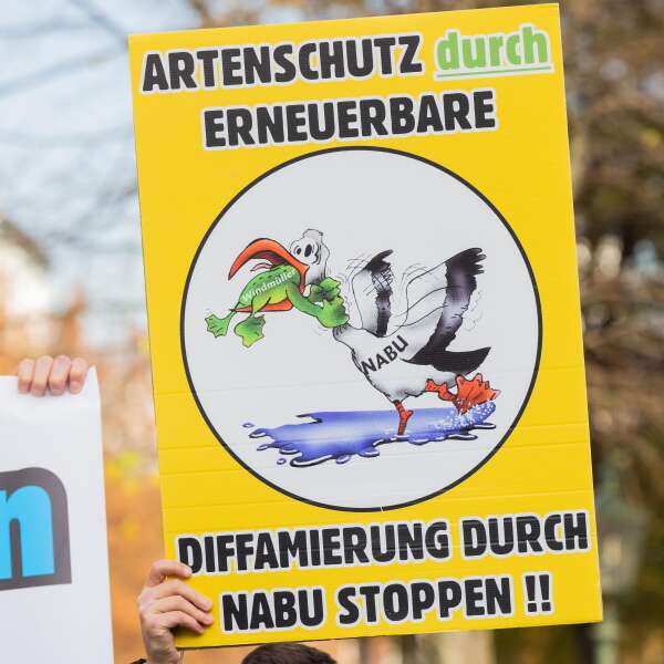 Lieber NABU, ist ein Seeadler wirklich wichtiger als ein neues Windrad?