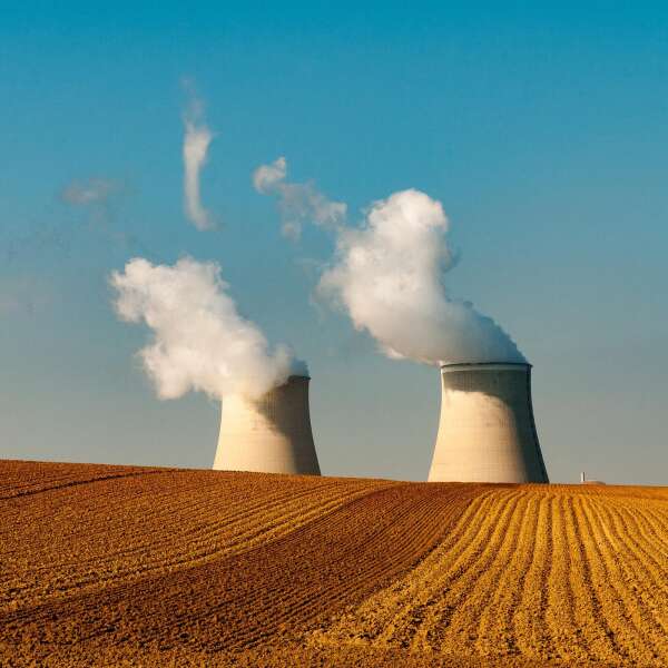 Kernenergie? "Eine aussterbende Spezies"