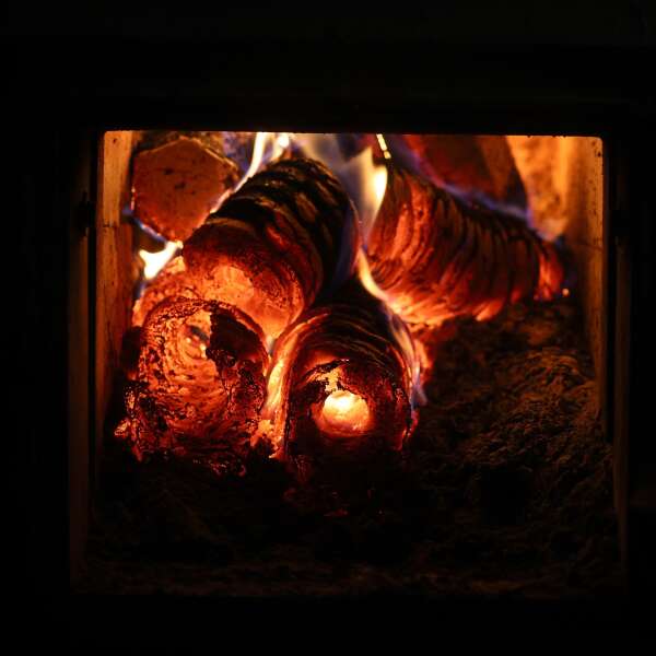 Heizen mit Holz? "Das Ausland baut seine Wälder für Deutschland in Plantagen um"