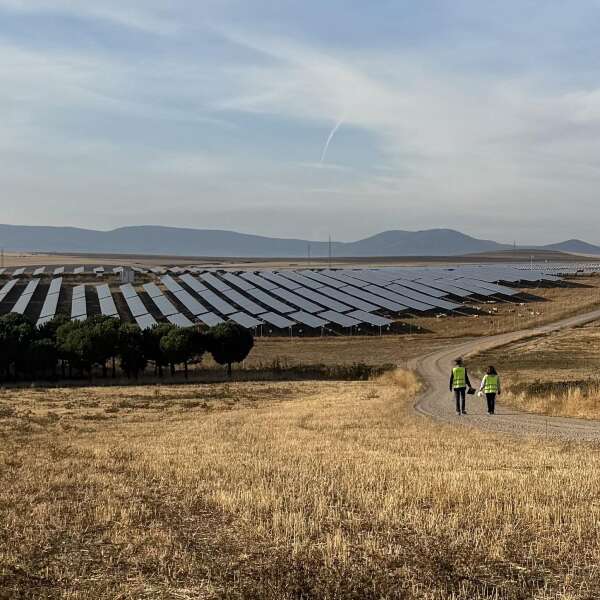 "Mit einem Auto fährt man eine halbe Stunde durch unser Solarkraftwerk" | Andreas Schell (ib vogt)