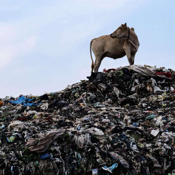 Blindflug bei Methan-Erfassung? Viele Länder schätzen ihren Ausstoß nur