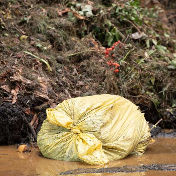 Biogas? "Dänemark ersetzt auch mit deutschen Abfällen 30 Prozent seine Erdgases"