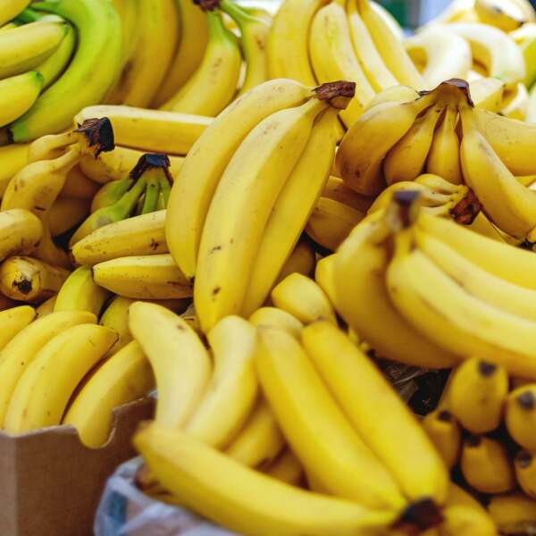 Kartellrecht lockern? "Traditioneller Wettbewerb bringt beim Klima nicht unbedingt das beste Ergebnis"