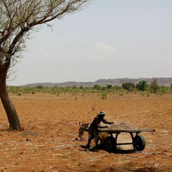 Afrika weiß, was kommt - und alle gucken weg