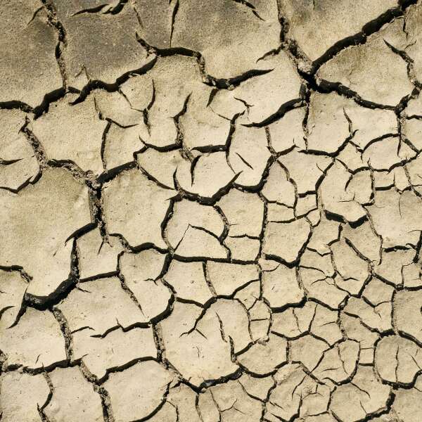 Zerstörte Anbauflächen? "Müssen mehr für Nahrung zahlen"