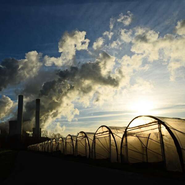 Effizienzgezeter? "Die Industrie muss nur machen, was sich mit der Geldbrille lohnt"