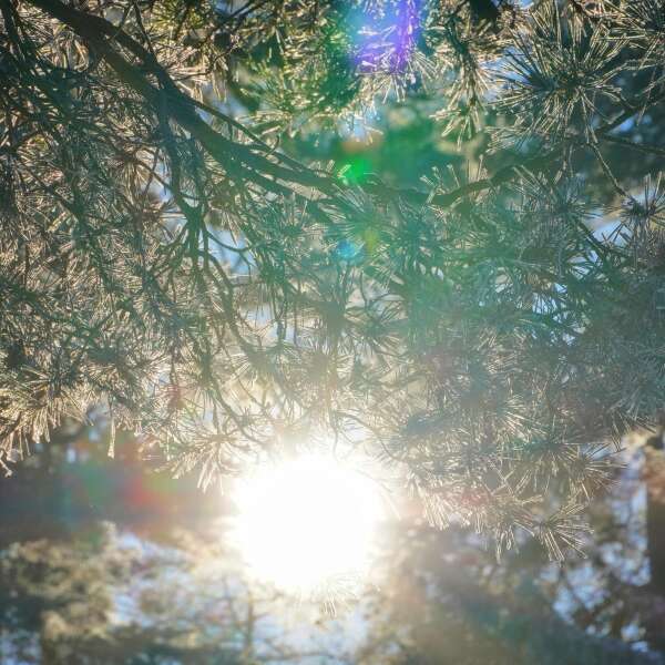 "Der Strompreis entkoppelt sich vom Gaspreis - das ist eine grundlegende Veränderung" | Leonhard Gandhi | Energy-Charts