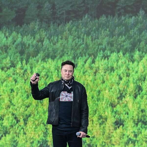 Philanthropie? "Elon Musk ist nicht gerade ein Empath"