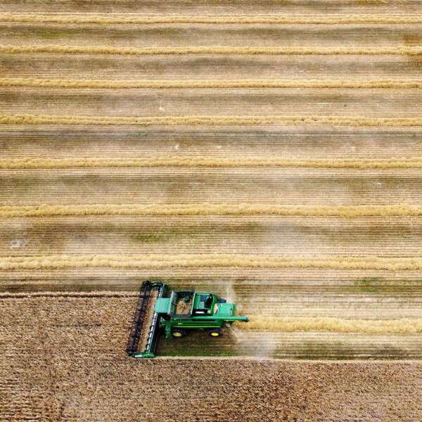 Regenerative Landwirtschaft? "Viel Unwissenheit, wie es funktioniert"